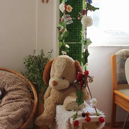 Stan Na Dan Teddy - * Pale