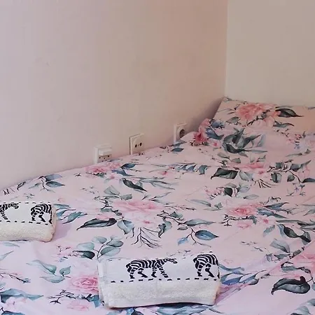 Stan Na Dan Teddy - Pale